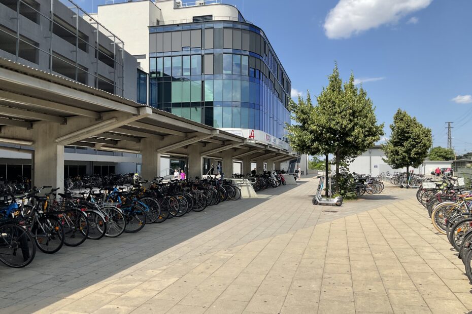 HBF Wiener Neustadt